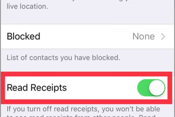 How to check and setup read receipts in whatsup