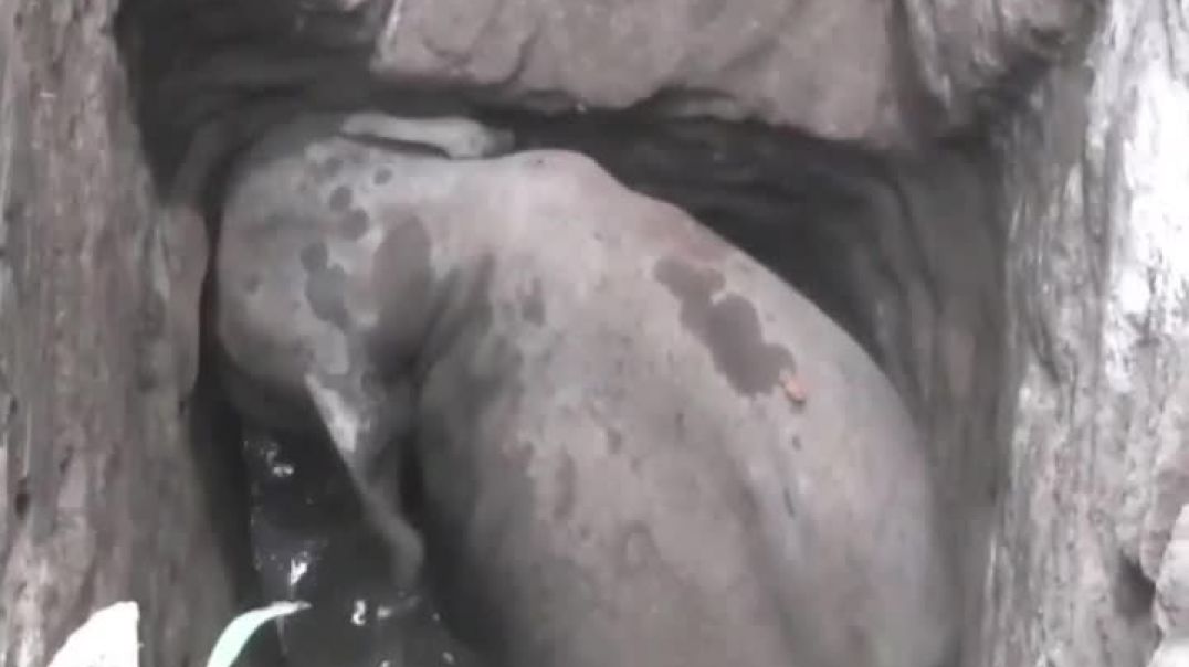 Baby elephat struck in water bore hole and people amazing saved